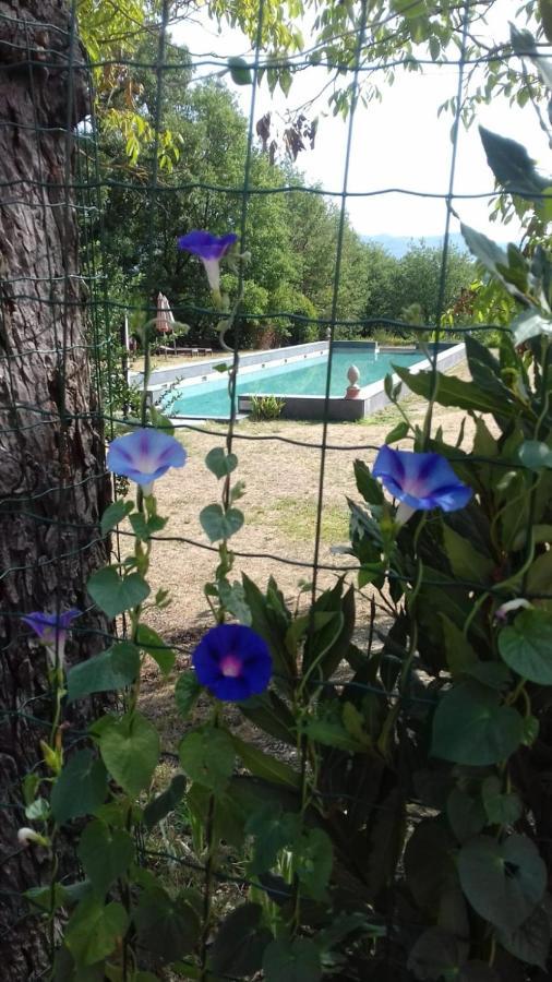 Apartamento Poggio A Sieve Villore Exterior foto